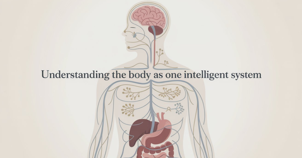 Illustration representing the human body as an intelligent, integrated communication system, supporting a whole-system bioenergetic testing approach.